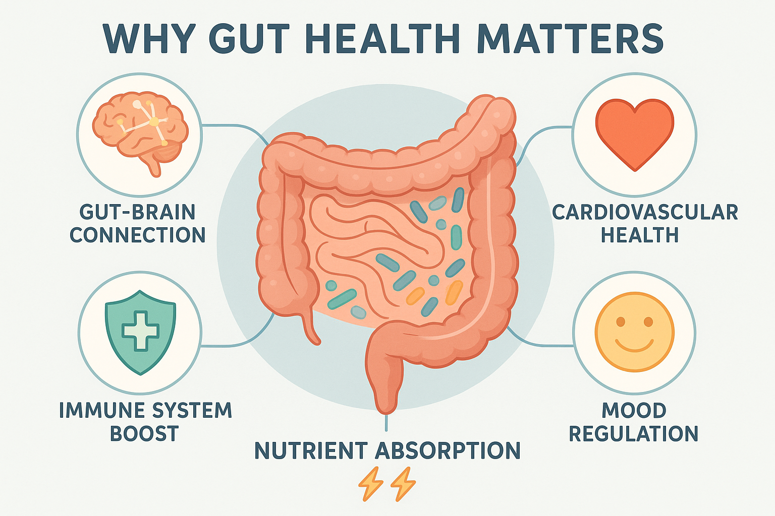 Premium probiotic supplement bottles displayed with fresh natural ingredients, symbolizing gut health and immunity support. Ideal for a wellness specialty shop promoting trusted best-sellers.