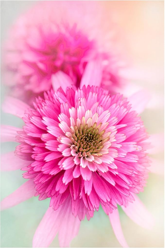 Trademark Fine Art Canvas Wall Art - Jacky Parker 'Summer Spirit' Wall Art for Living Room, Bedroom, or Office Décor 22 x 32 Inches