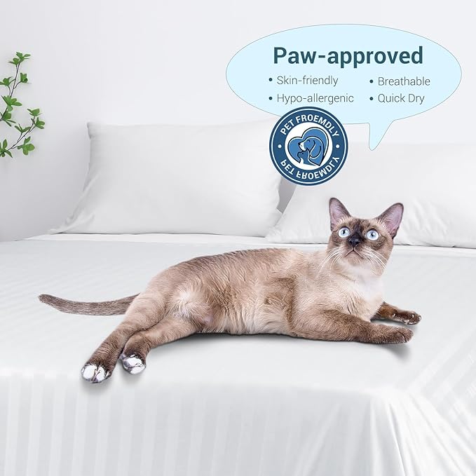Elegear Revolutionary Cooling Blanket Queen, Absorbs Heat to Keep Body Cool for Night Sweats, Double Sided Arc-Chill3.0 Cool Fiber Q-Max>0.5, Lightweight Summer Cold Blankets Sleeping 79" x 86"