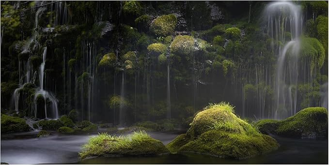 Trademark Fine Art Canvas Wall Art - KENjiro.S 'Silence' Wall Art for Living Room, Bedroom, or Office Décor