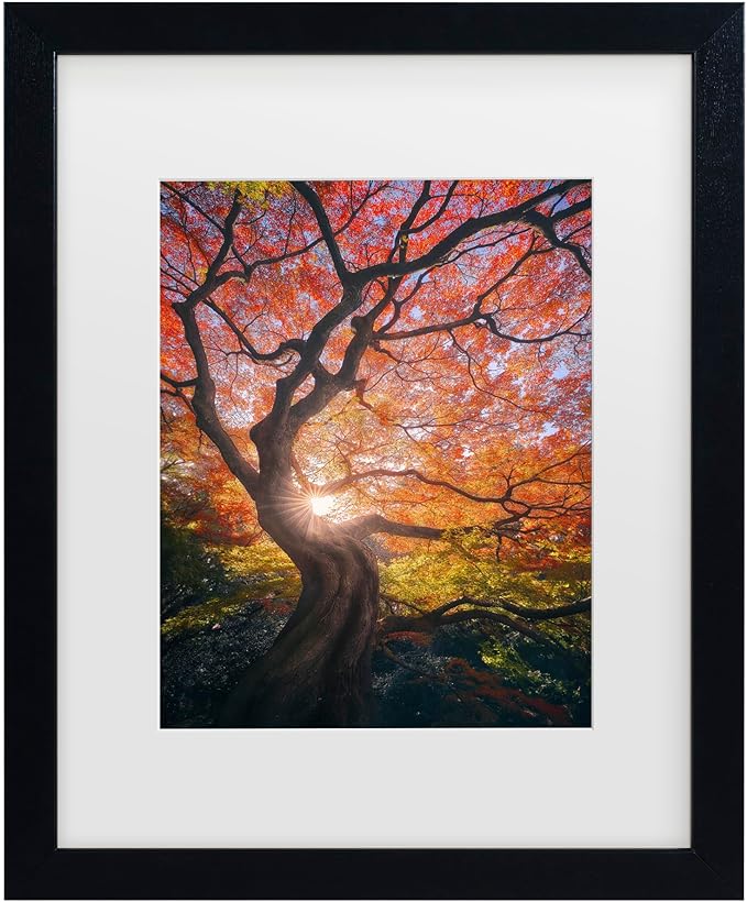 Trademark Fine Art Framed Wall Art - Javier De La 'The Japanese Tree' Wall Decor with Matted Frame