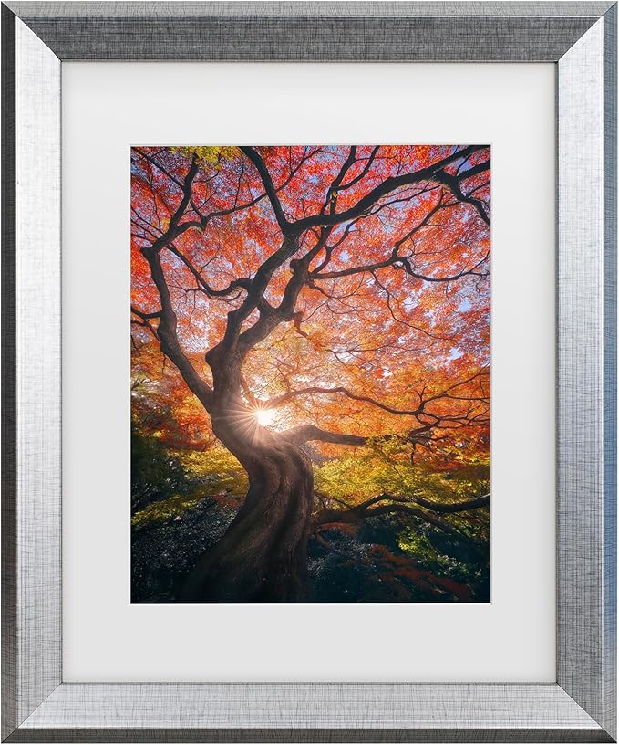 Trademark Fine Art Framed Wall Art - Javier De La 'The Japanese Tree' Wall Decor with Matted Frame